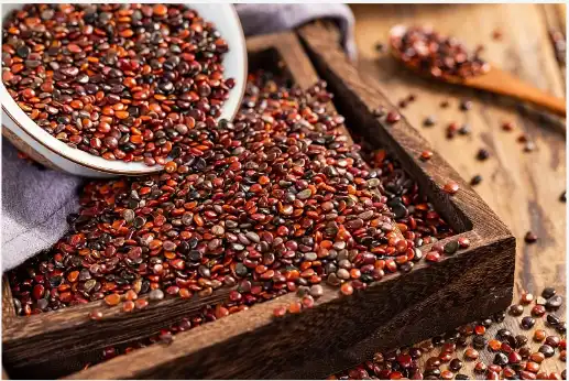 Hovenia Dulcis Extract Hovenia Dulcis Extract