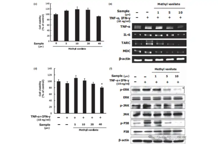 Hovenia Dulcis Extract Hovenia Dulcis Extract