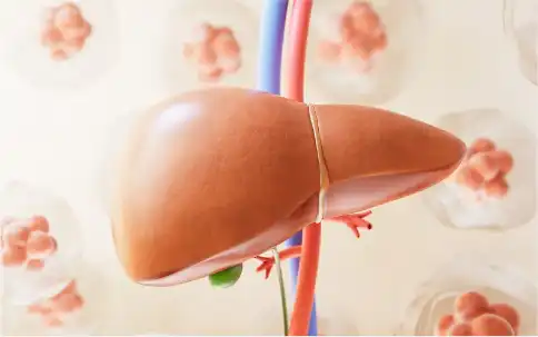 Kudzu Root Extract Kudzu Root Extract