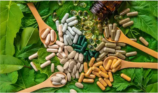 Kudzu Root Extract Kudzu Root Extract