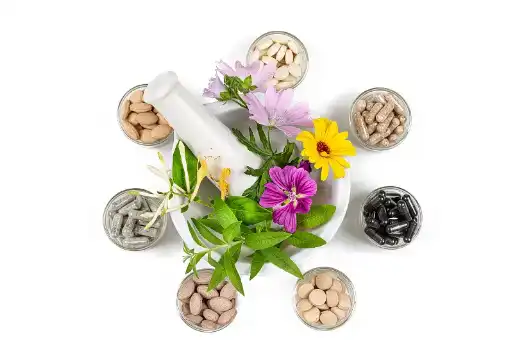 Stevia extract Stevia extract