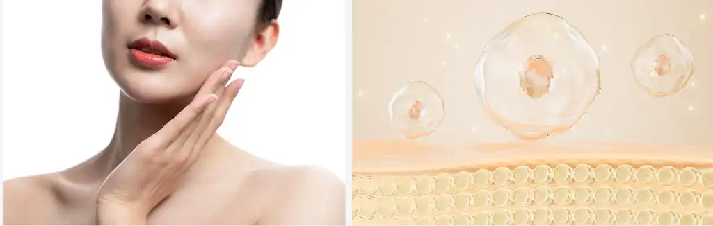 Oat Beta Glucan Oat Beta Glucan