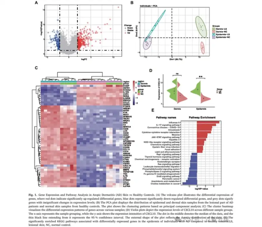 Bulk Zinc Gluconate Bulk Zinc Gluconate