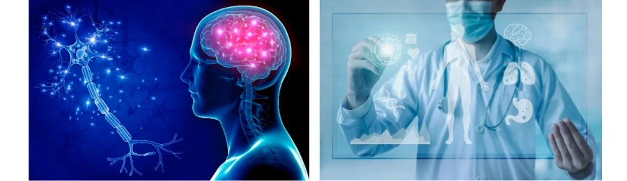 Acai Fruit Powder Acai Fruit Powder