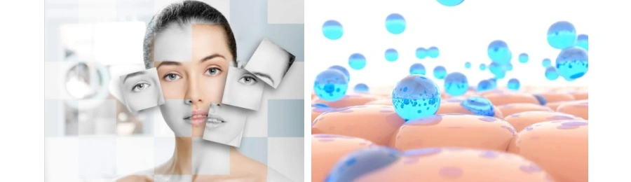 Acerola Cherry Fruit Powde Acerola Cherry Fruit Powde