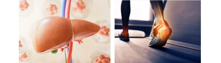 AHCC Powder AHCC Powder