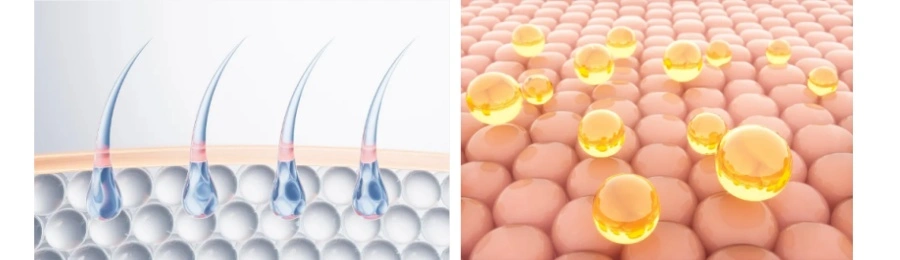 Acetyl tetrapeptide-3 powder Acetyl tetrapeptide-3 powder