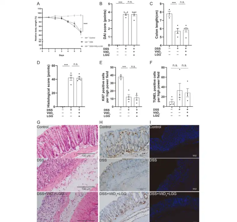 Vitamin D3 Vitamin D3