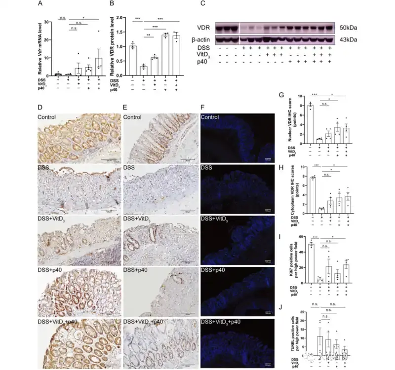 Vitamin D3 Vitamin D3