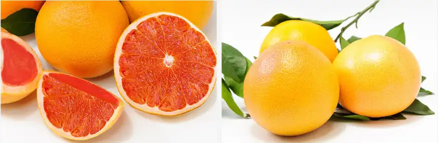 Hesperidin Methylchalcone Powder Hesperidin Methylchalcone Powder