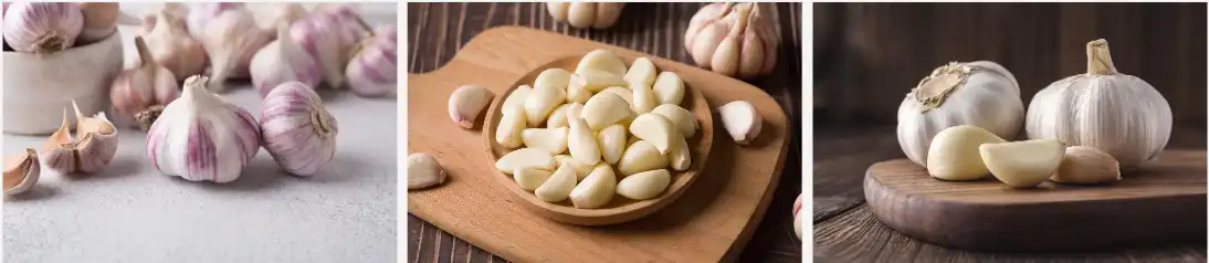 Garlic extract Garlic extract