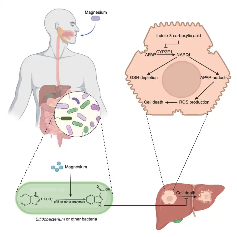 product-1-1 product-1-1