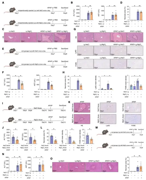 Bulk magnesium citrate powder Bulk magnesium citrate powder