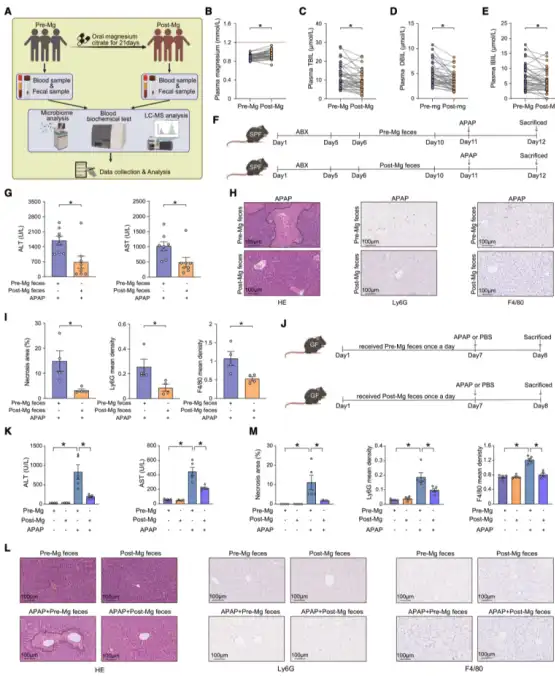 Bulk magnesium citrate powder Bulk magnesium citrate powder