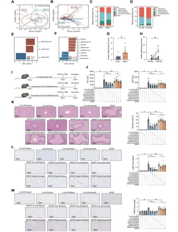 Bulk magnesium citrate powder Bulk magnesium citrate powder