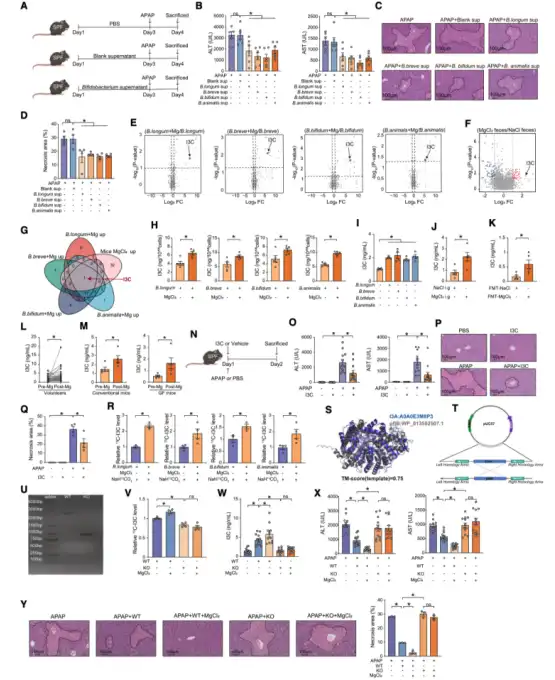 Bulk magnesium citrate powder Bulk magnesium citrate powder