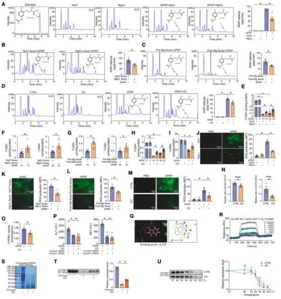 Bulk magnesium citrate powder Bulk magnesium citrate powder