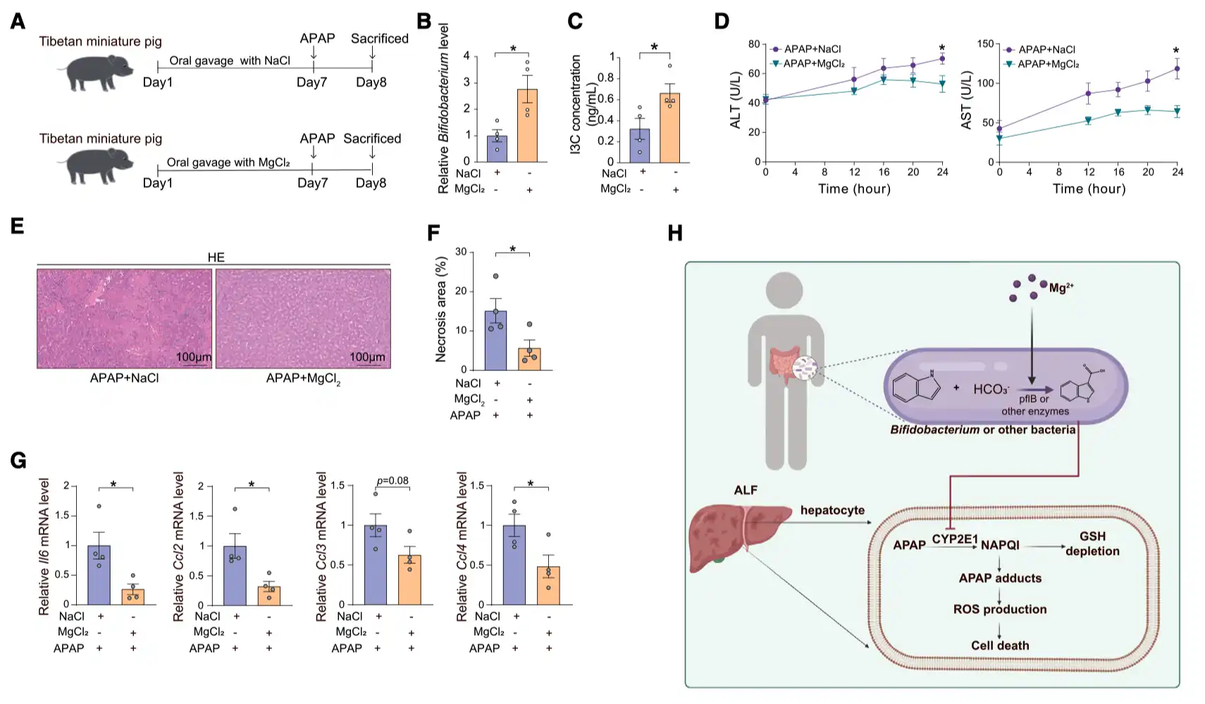 Bulk magnesium citrate powder Bulk magnesium citrate powder