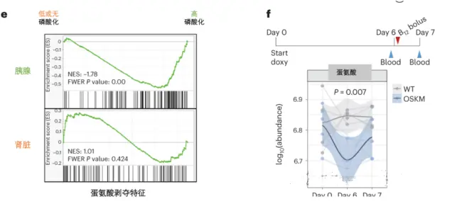 Vitamin B12 Powder Vitamin B12 Powder