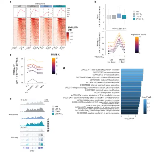 Vitamin B12 Powder Vitamin B12 Powder