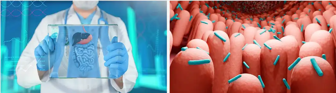 Psyllium husk powder Psyllium husk powder