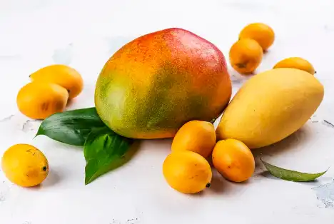 Wild Mango Extract Wild Mango Extract