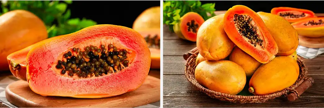 Papaya fruit powder Papaya fruit powder