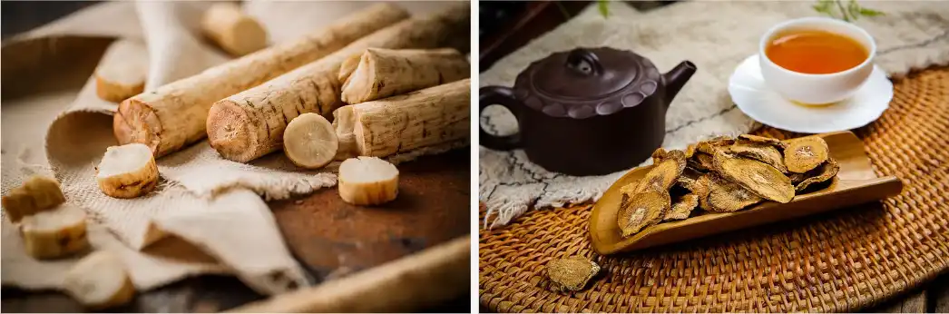 Burdock extract Burdock extract