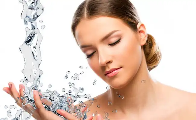 Burdock extract Burdock extract