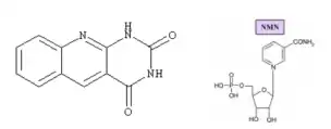 Deazaflavin Powder Deazaflavin Powder