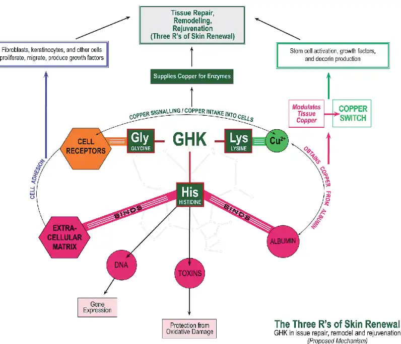 Blue copper peptide Blue copper peptide