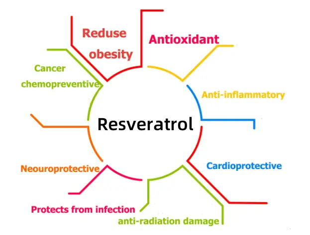 Resveratrol Powder Resveratrol Powder