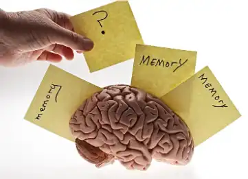 Resveratrol Resveratrol