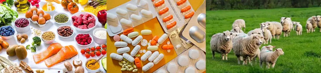 Spermidine 3HCL Spermidine 3HCL