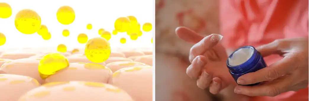 Pro-Xylane Pro-Xylane