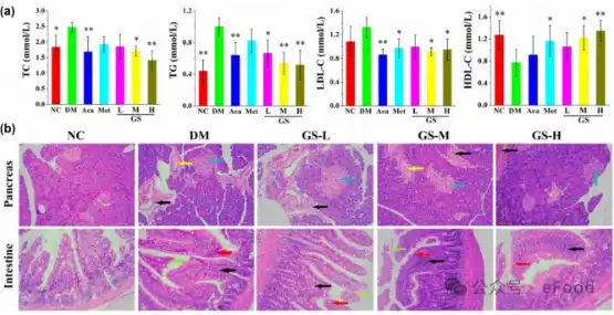 Gymnemic Acid Gymnemic Acid