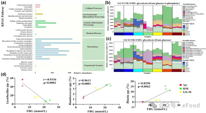 Gymnemic Acid Gymnemic Acid