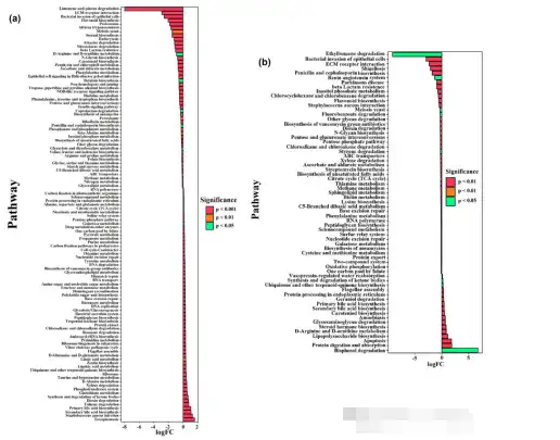 Gymnemic Acid Gymnemic Acid