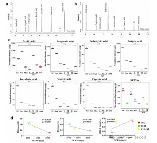 Gymnemic Acid Gymnemic Acid