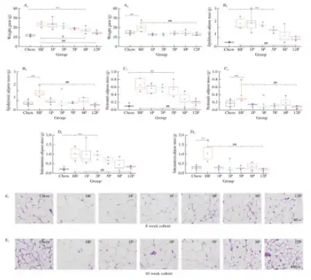 Bulk Apple Pectin Powder Bulk Apple Pectin Powder