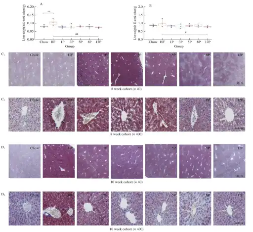 Bulk Apple Pectin Powder Bulk Apple Pectin Powder