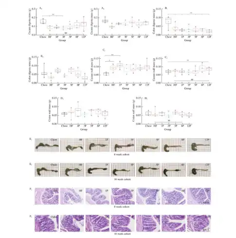 Bulk Apple Pectin Powder Bulk Apple Pectin Powder