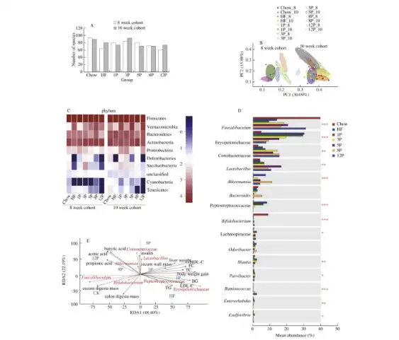 Bulk Apple Pectin Powder Bulk Apple Pectin Powder