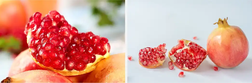 Urolithin A Urolithin A