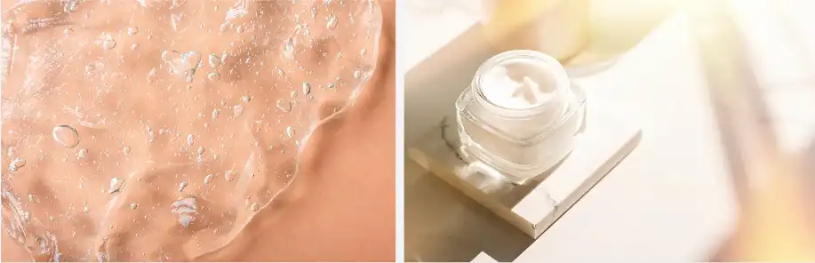 White Tea Extract Power White Tea Extract Power