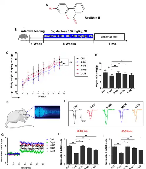 Urolithin B Urolithin B