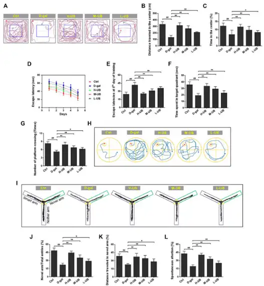 Urolithin B Urolithin B