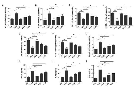 Urolithin B Urolithin B