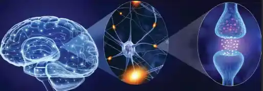 Magnesium threonate Magnesium threonate