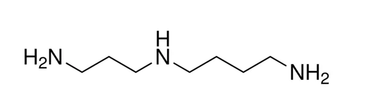 Spermidine Spermidine